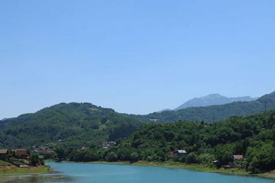IMG_5369.JPG