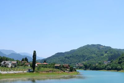 IMG_5372.JPG