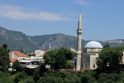 IMG_5401.JPG
