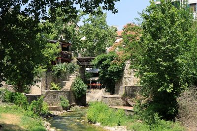IMG_5419.JPG