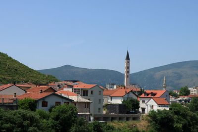 IMG_5424.JPG