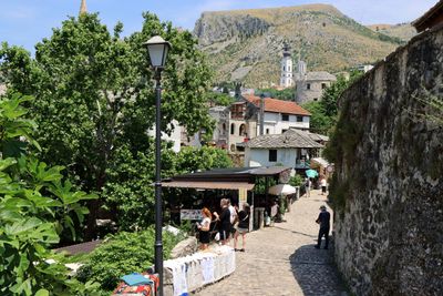 IMG_5428.JPG