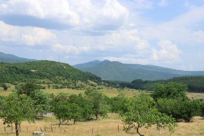 IMG_5457.JPG