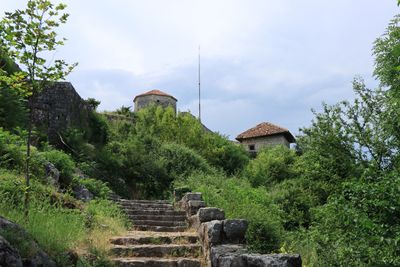Niksic