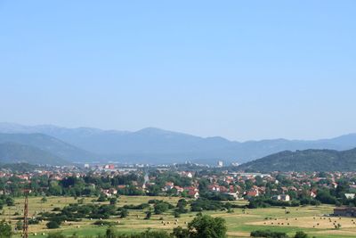 IMG_5545.JPG