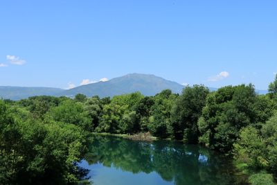 IMG_5574.JPG