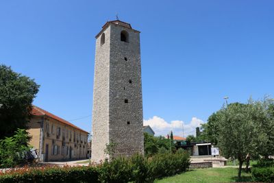 IMG_5582.JPG