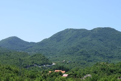 IMG_5812.JPG