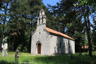 Cetinje