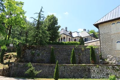 Cetinje