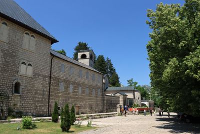 Cetinje