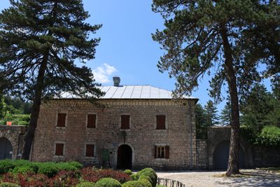 Cetinje
