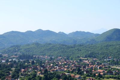 IMG_5899.JPG