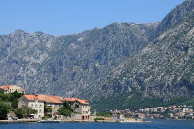 IMG_5941.JPG