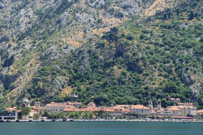 Kotor