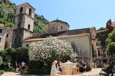 Kotor
