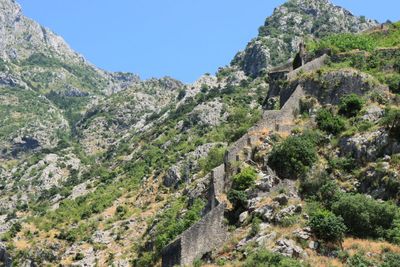 Kotor