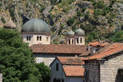 Kotor