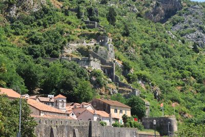 Kotor