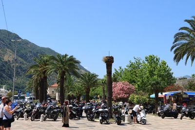 Kotor