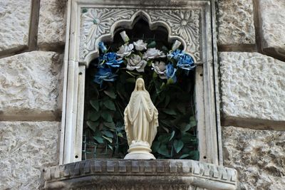 Kotor