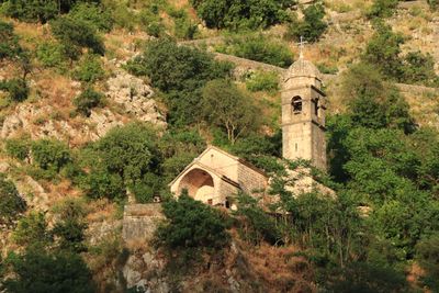 Kotor