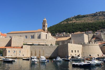 IMG_6235.JPG
