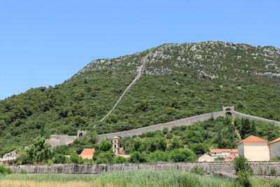 IMG_6331.JPG