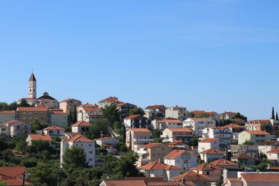 IMG_6485.JPG