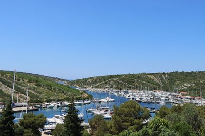 IMG_6498.JPG