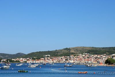 IMG_6505.JPG