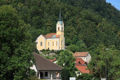 IMG_6738.JPG