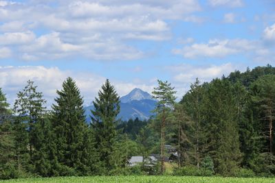 IMG_6784.JPG