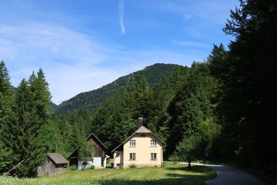 IMG_6824.JPG