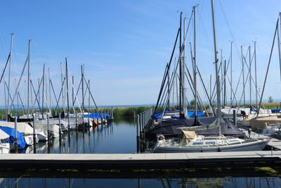 IMG_7104.JPG