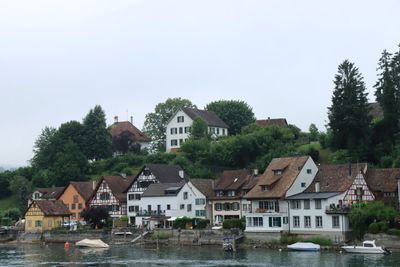 IMG_7153.JPG