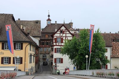 IMG_7165.JPG