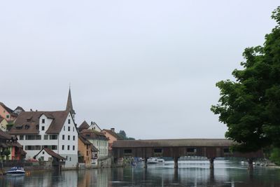IMG_7207.JPG