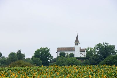 IMG_7219.JPG