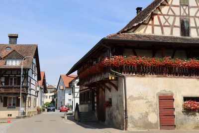 IMG_7225.JPG