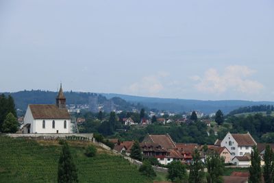 IMG_7236.JPG