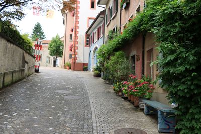 IMG_7257.JPG