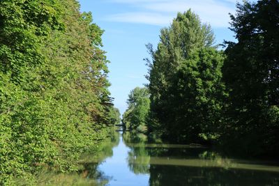 IMG_7409.JPG
