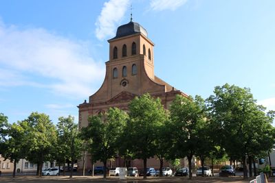 IMG_7464.JPG