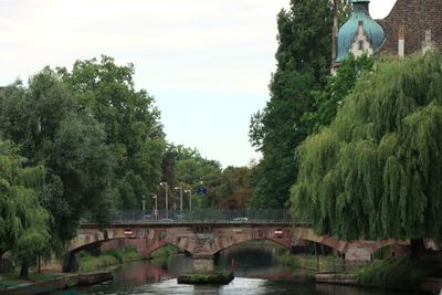 IMG_7492.JPG