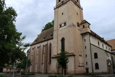 IMG_7524.JPG