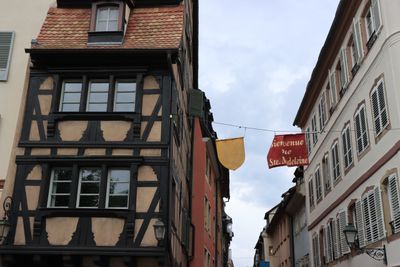 IMG_7535.JPG