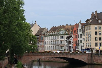 IMG_7556.JPG