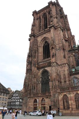 IMG_7669.JPG