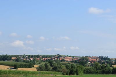IMG_7724.JPG